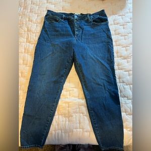 Pistola Button Fly Stretch High Rise Skinny Jean size 20W